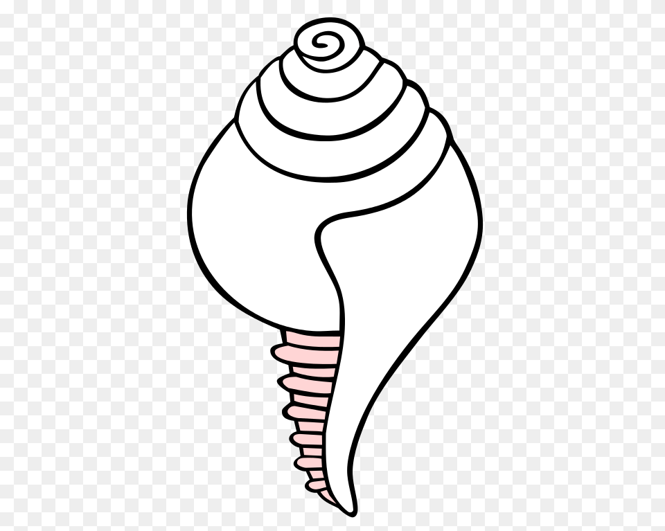 White Conch Symbol, Animal, Seashell, Sea Life, Invertebrate Free Transparent Png
