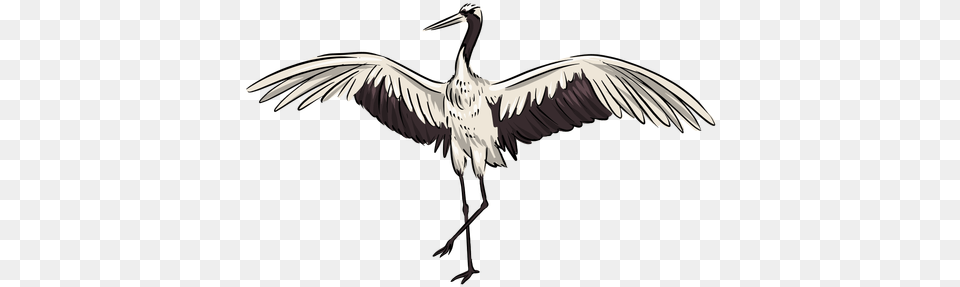 White Crane Bird Long, Animal, Crane Bird, Waterfowl, Stork Png Image