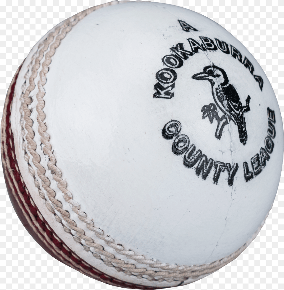 White Cricket Ball Cricket White Ball Hd, Animal, Bird, Baseball, Baseball (ball) Png Image