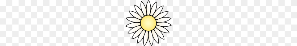 White Daisy Bouquet Clipart Images Clip Art, Flower, Plant, Astronomy, Moon Free Png Download