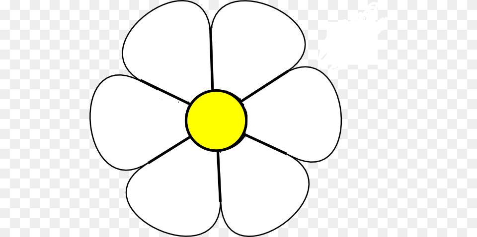 White Daisy Clip Art, Anemone, Plant, Flower, Lawn Mower Free Png