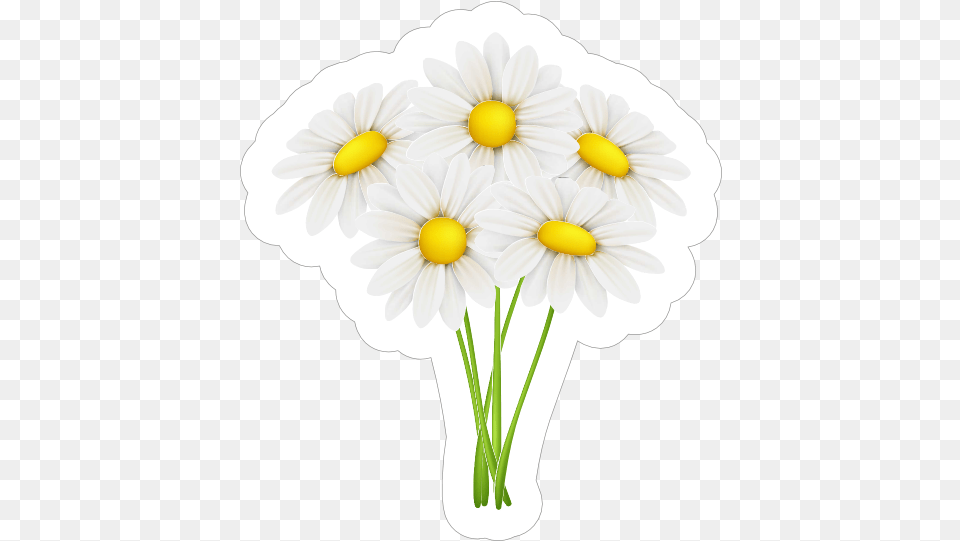 White Daisy Flower Sticker Lovely, Petal, Plant, Flower Arrangement, Flower Bouquet Free Png