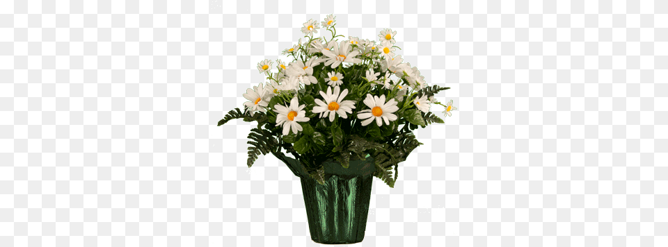 White Daisy Wildflowers Pt1961 Vase, Flower, Flower Arrangement, Flower Bouquet, Plant Png