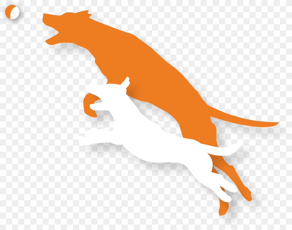 White Dog And Orange Dog Silhouettes, Animal, Fish, Sea Life, Shark Free Transparent Png