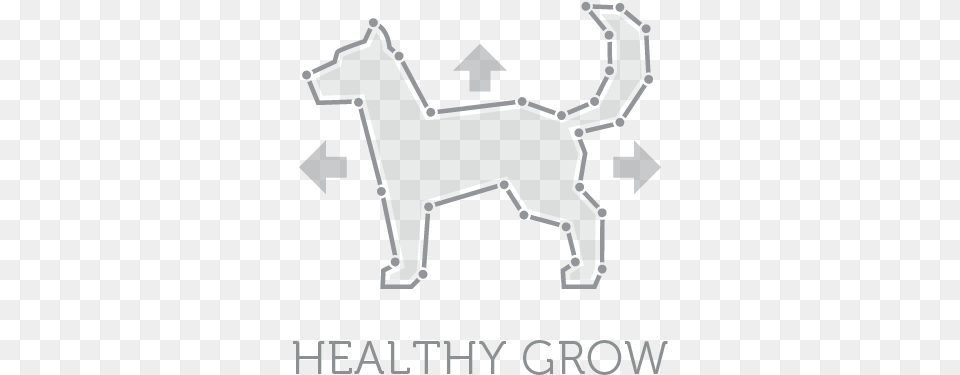 White Dog Bone, Stencil, Animal, Mammal Free Transparent Png