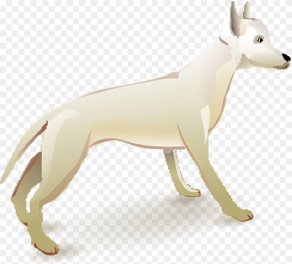 White Dog Clipart, Animal, Canine, Mammal, Pet Free Png
