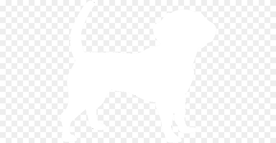 White Dog Silhouette Background Ancient Dog Breeds, Animal, Canine, Mammal, Pet Free Png Download