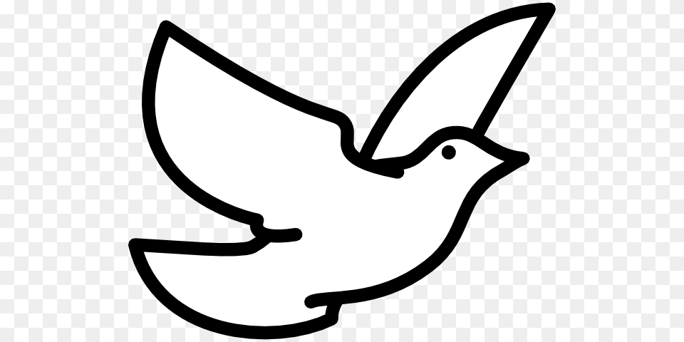 White Dove Clipart, Stencil, Bow, Weapon, Animal Free Transparent Png
