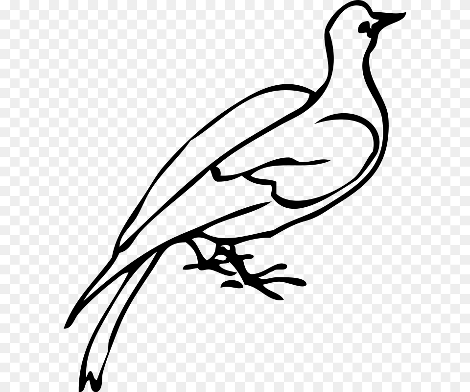 White Dove Clipart Clip Art, Gray Png Image