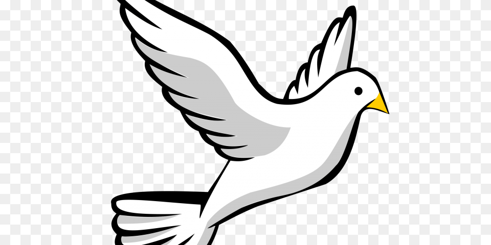 White Dove Clipart Clip Art, Animal, Bird, Finch Free Png