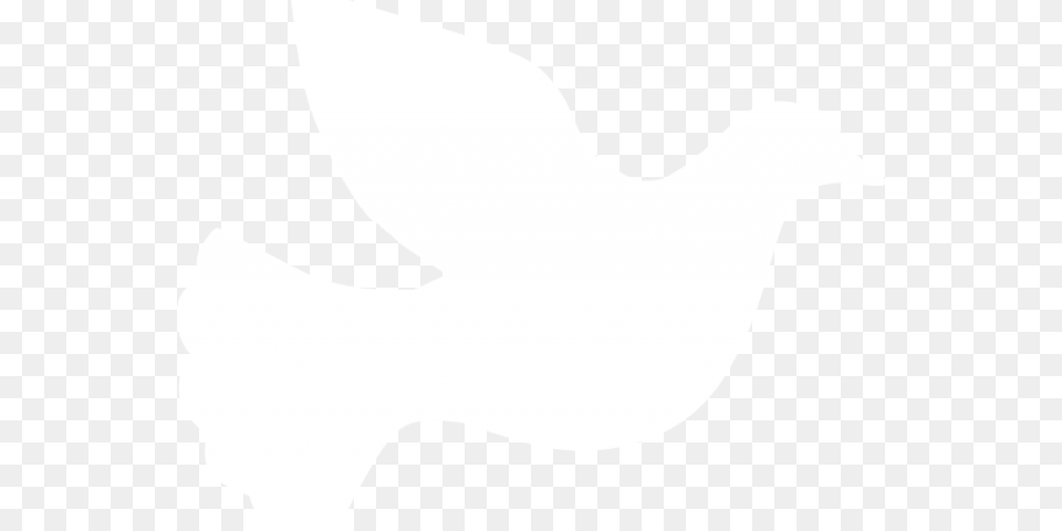 White Dove Clipart Fire, Silhouette, Animal, Bird, Pigeon Png Image