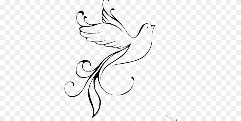 White Dove Clipart Leave Dove Clip Art No Background, Gray Free Transparent Png