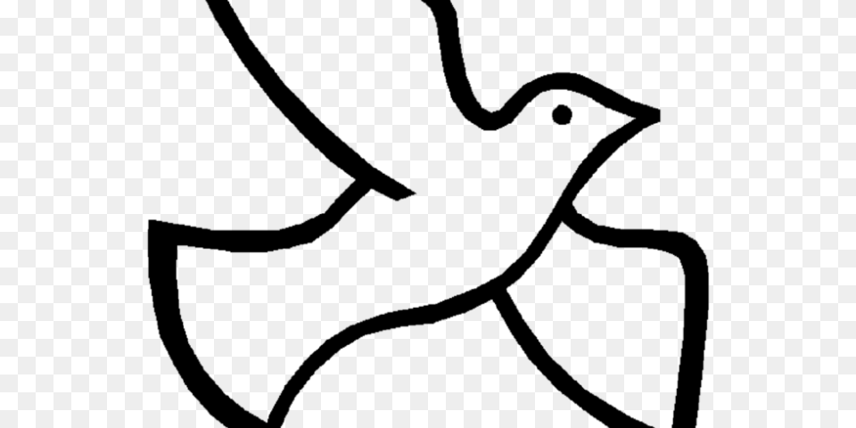 White Dove Clipart Pentecost, Gray Free Png Download