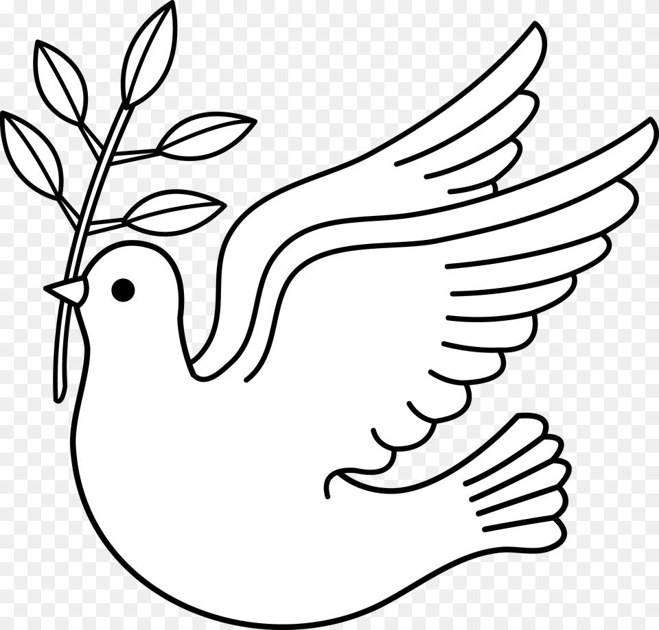 White Dove Clipart Symbolism Clipart, Animal, Fish, Sea Life, Shark Png Image