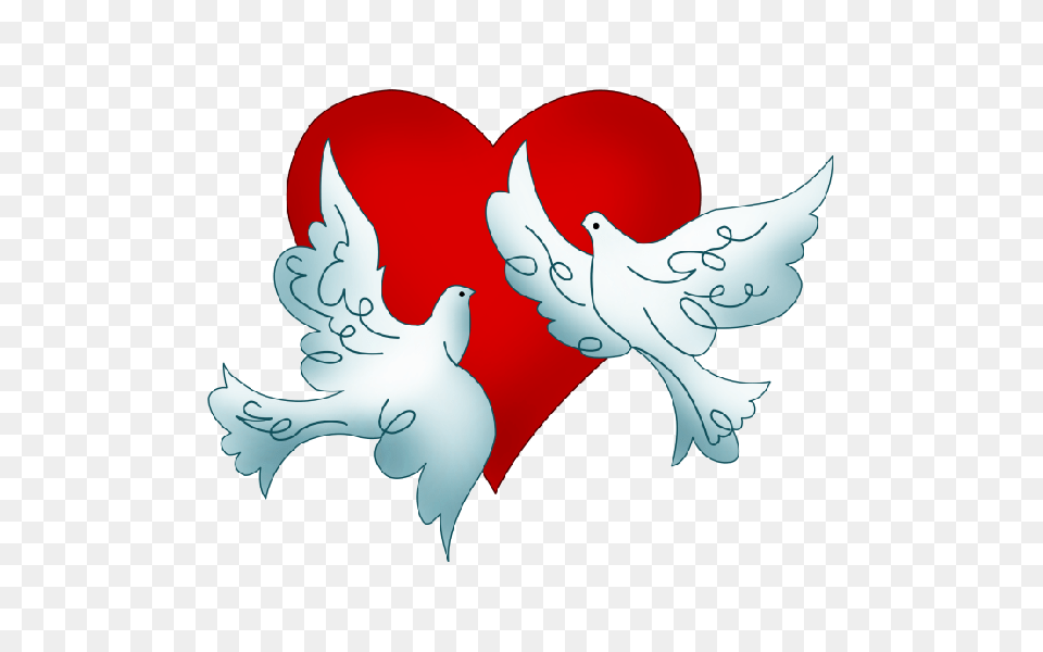 White Dove Clipart Two, Animal, Bird, Heart, Cupid Png Image