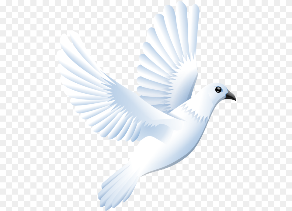 White Dove Clipart White Dove Svg Fvaday Clipart White Bird Vector, Animal, Pigeon Free Png Download