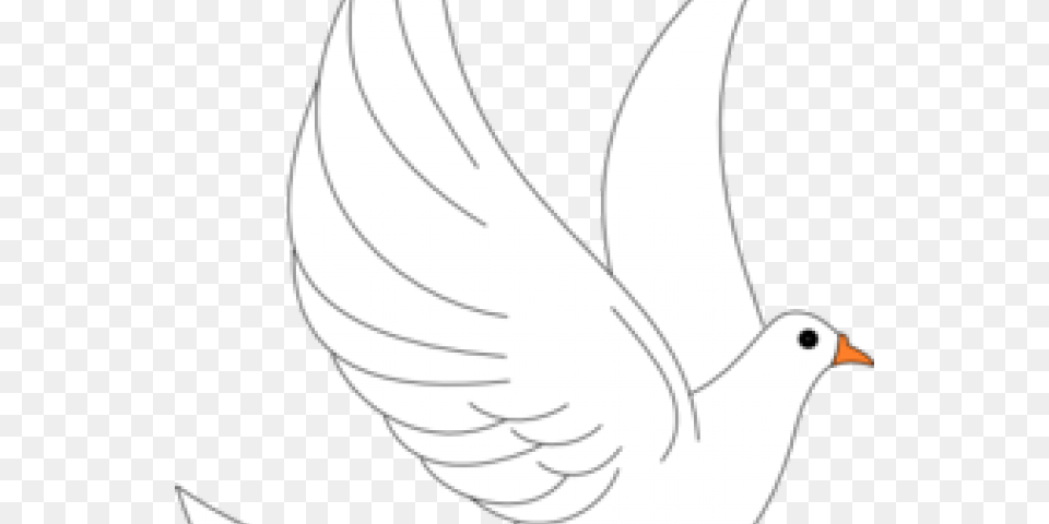 White Dove Cliparts Illustration, Animal, Bird, Pigeon, Person Free Transparent Png