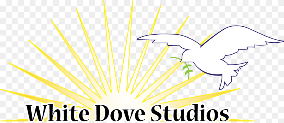 White Dove Studios Music Lessons Owned By Greg Harpine In Language, Animal, Bird, Flying Png