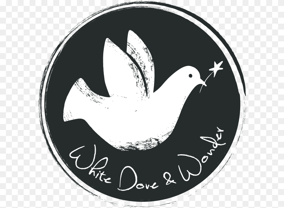 White Dove U0026 Wonder U2014 Ernest Journal Lovely, Animal, Bird, Pigeon Free Transparent Png