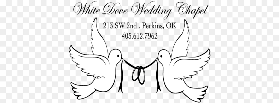 White Dove Wedding Whitedovewdwc Twitter Lovely, Stencil, Animal, Bird, Pigeon Free Transparent Png