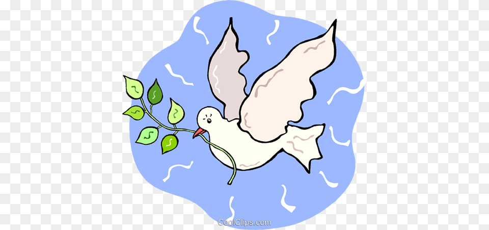 White Dove With An Olive Branch Royalty Vector Clip Art, Animal, Bird, Pigeon, Chicken Free Png