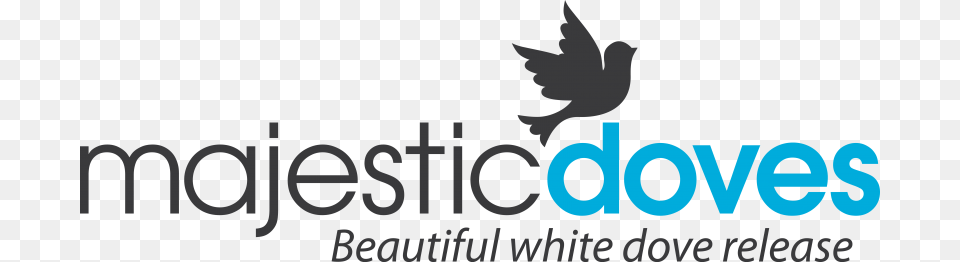 White Doves Wedding Dove Release 360 Destination Group, Logo Png Image