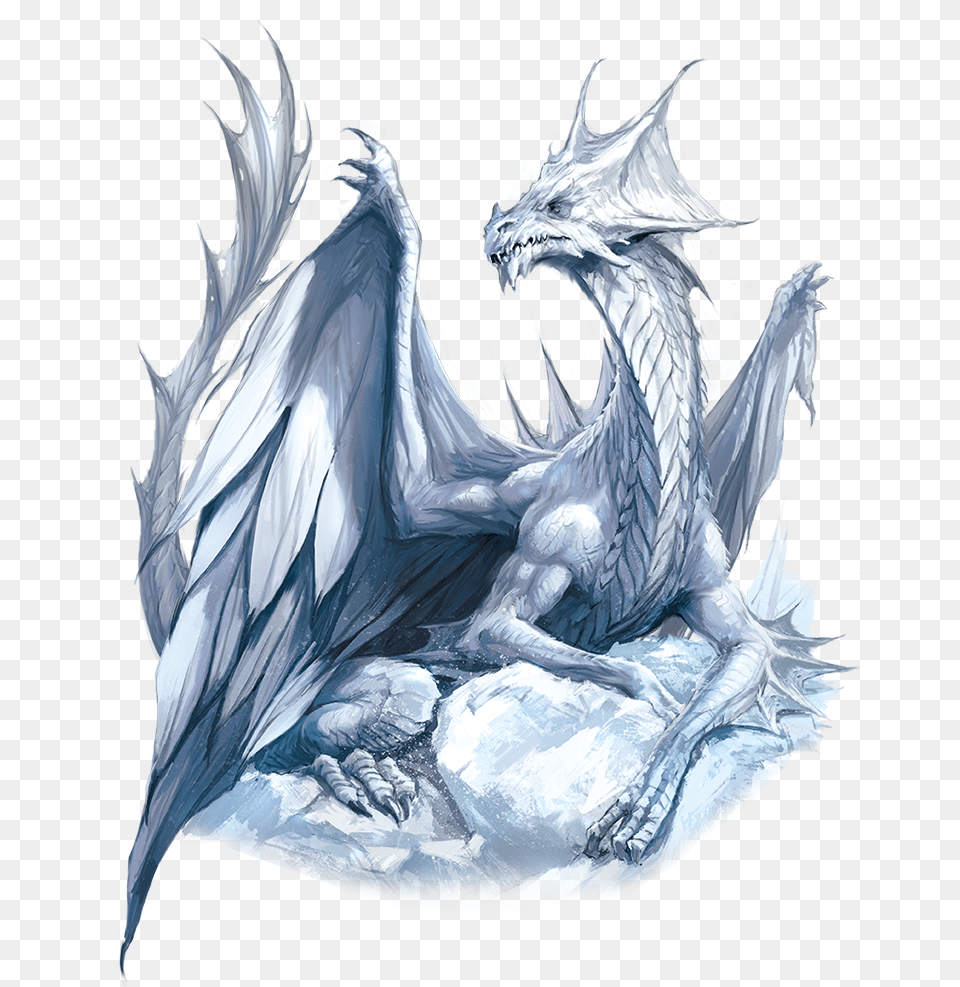 White Dragon, Adult, Bride, Female, Person Png