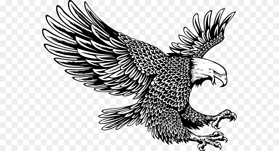 White Eagle Eagle Tattoo Black And White, Animal, Bird Png Image