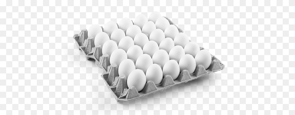 White Egg Tray, Food Png Image