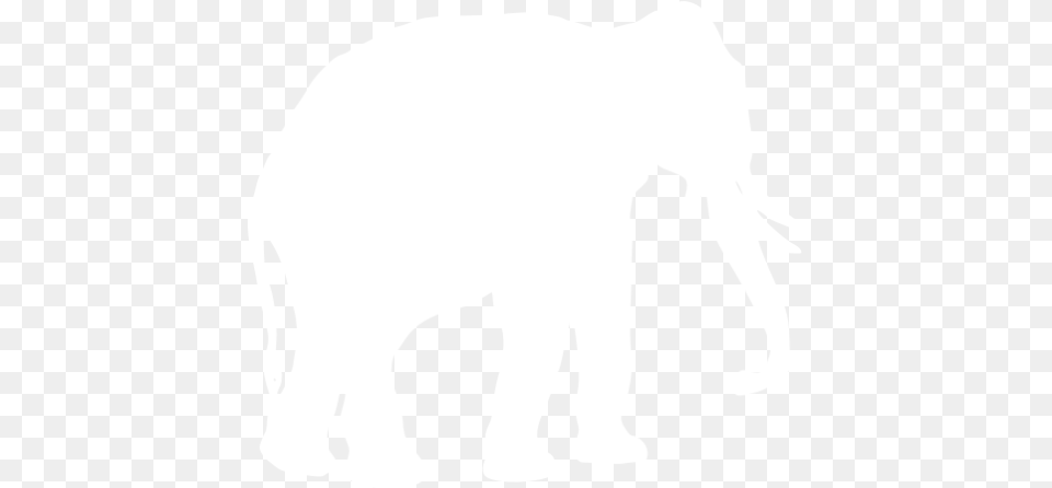 White Elephant Icon Animal Icon White, Mammal, Wildlife, Bear, Silhouette Free Png Download