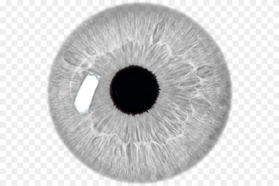 White Eye Eye Stickers Grey Filter Eye Lens Hd, Ct Scan Png