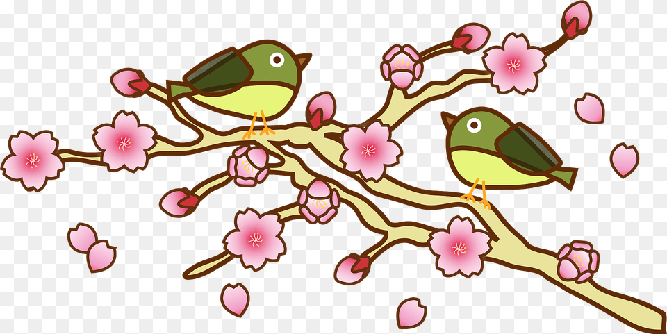 White Eye Warbling And Cherry Blossoms Clipart, Flower, Plant, Animal, Bird Free Png Download