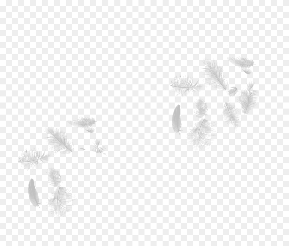 White Falling Feathers, Fireworks Free Png Download