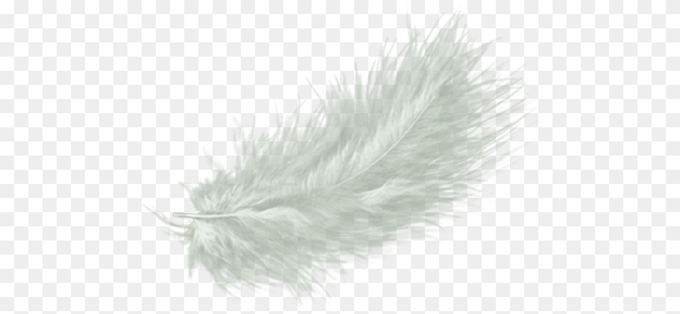 White Feather Drawing Clip Art White Fur Background, Accessories, Plant, Ice, Feather Boa Free Transparent Png
