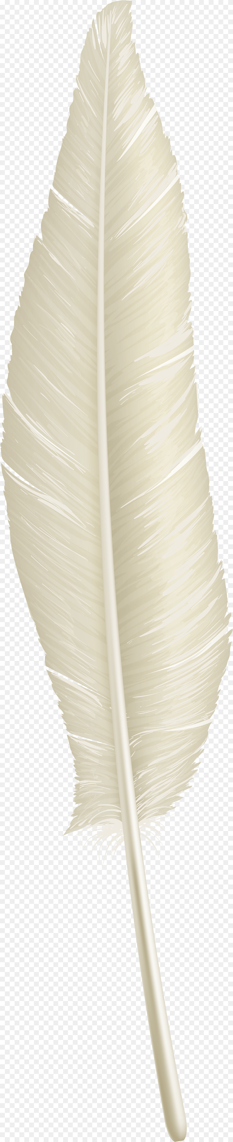 White Feather Gown, Bottle, Brush, Device, Tool Png