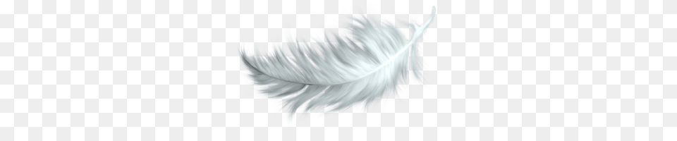 White Feather No Background Accessories, Adult, Female, Person Png Image