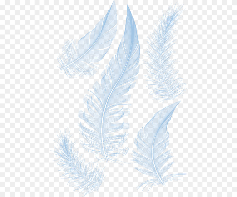 White Feathers Feather Hq Image Clipart Powerpoint Background Design Feather, Leaf, Plant, Fern, Person Png