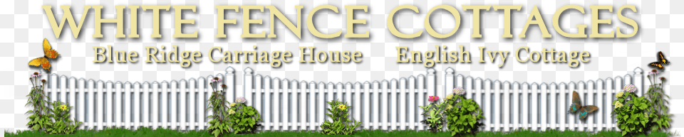 White Fence Cottages, Picket, Nature, Outdoors, Yard Png