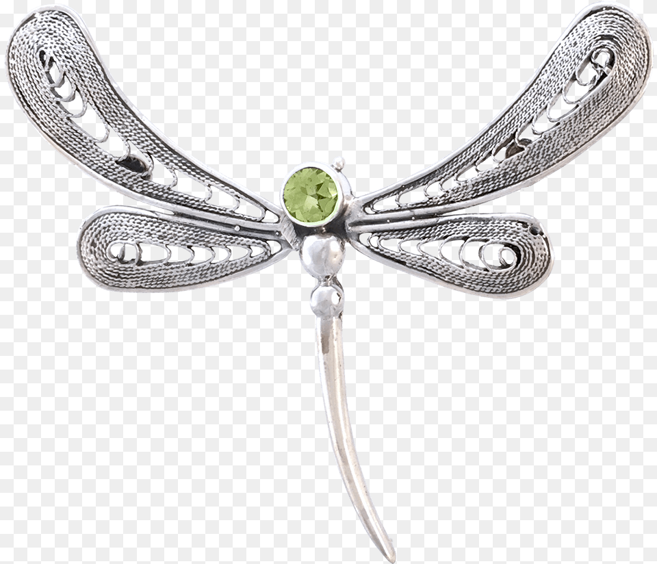 White Filigree, Dragonfly, Animal, Invertebrate, Insect Png Image