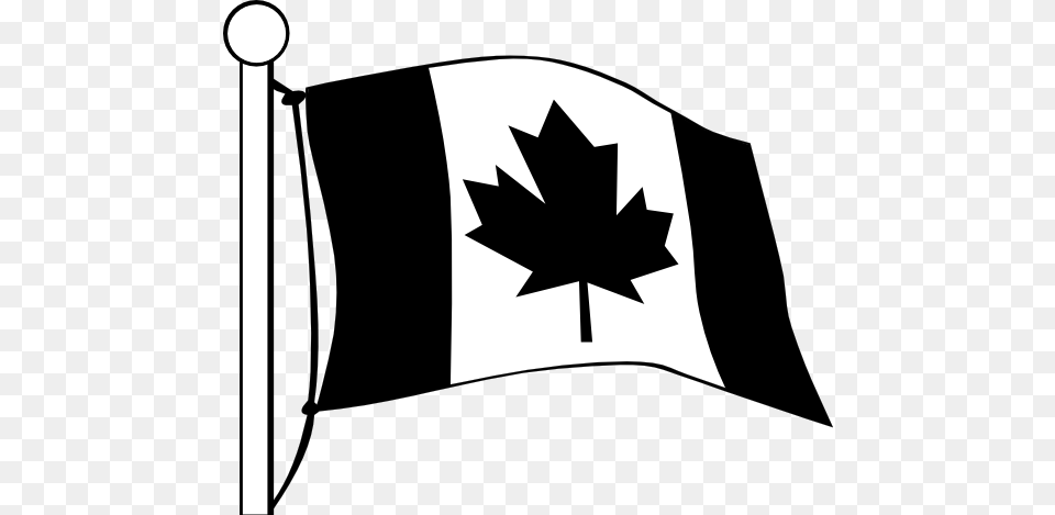White Flag Cliparts Bandera De Canada Dibujo, Leaf, Plant, Stencil, Clothing Free Png Download