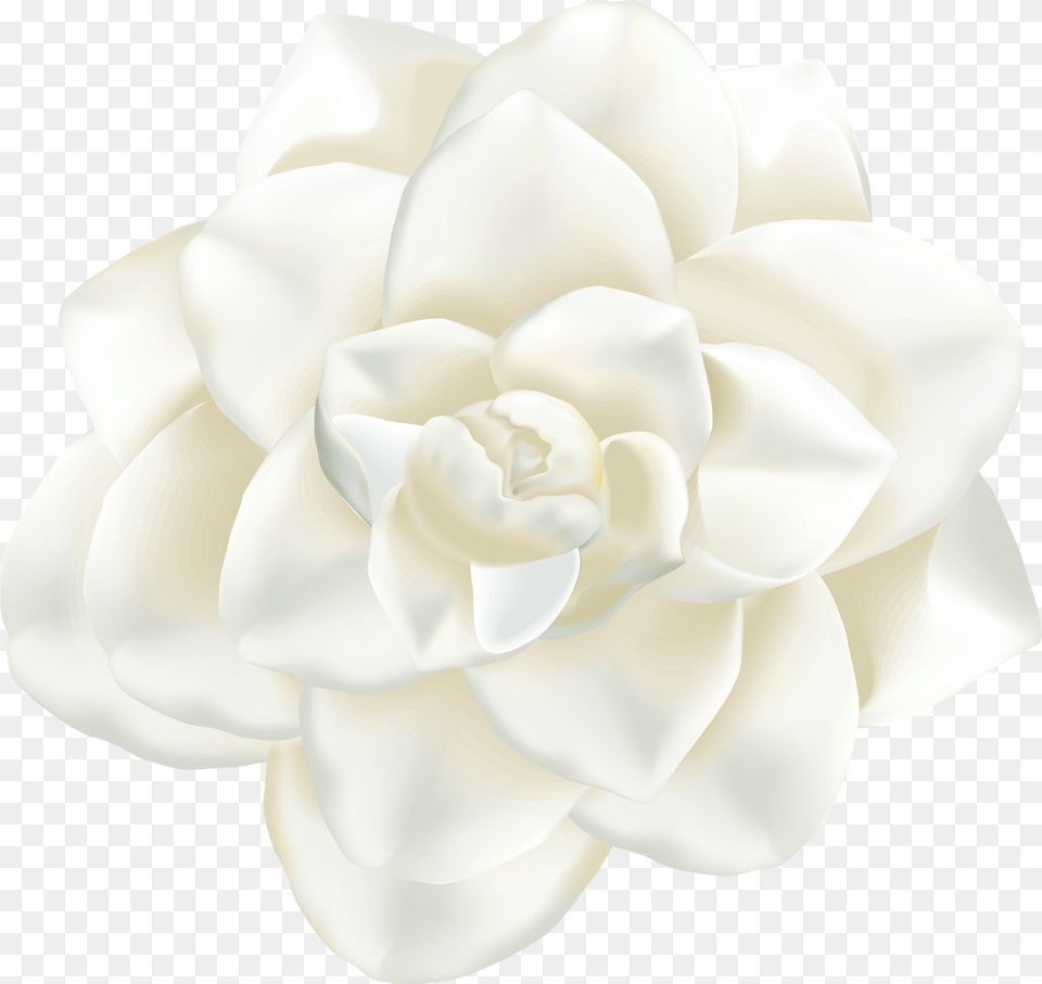 White Flower Art Free Transparent Png