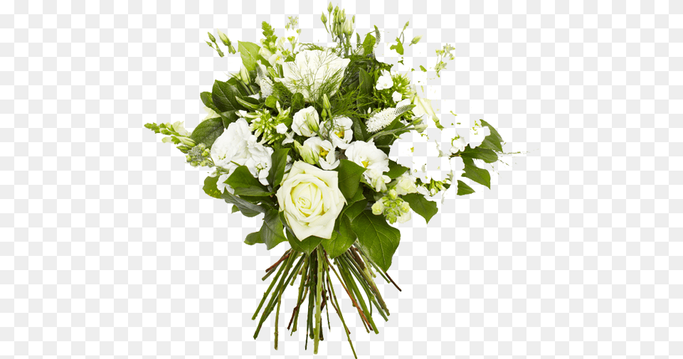 White Flower Bouquet Flowers Very Nice Blue, Art, Floral Design, Flower Arrangement, Flower Bouquet Free Transparent Png