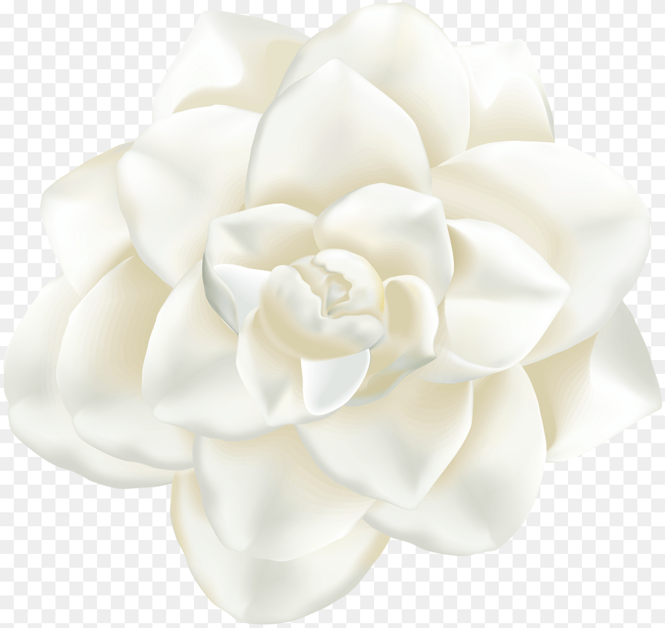 White Flower Clip Art Png