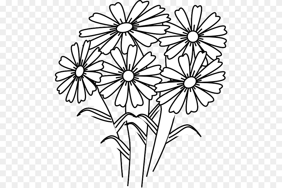 White Flower Clipart 5 Flower Drawing Of Flower Composition, Daisy, Plant, Art Free Png