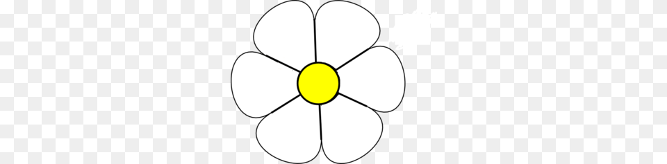 White Flower Clipart, Anemone, Daisy, Petal, Plant Png