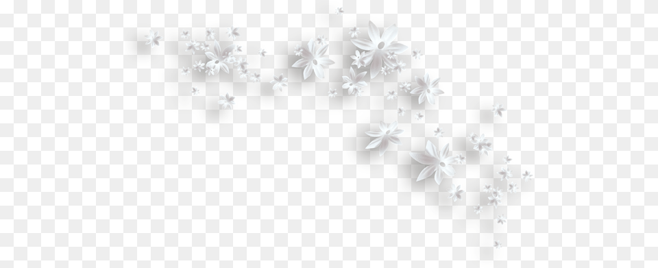 White Flower Clipart Transparent Transparent White Flowers, Plant, Pattern, Daisy, Art Png Image