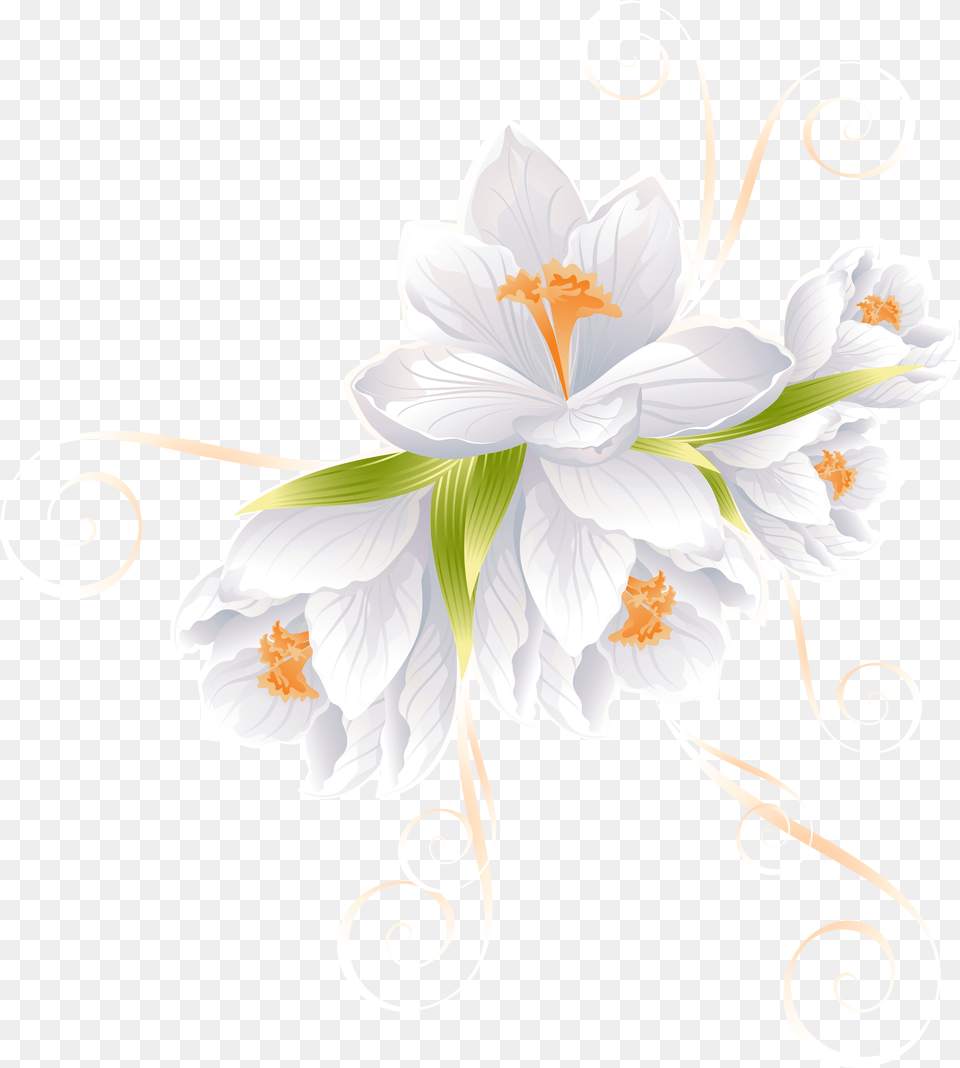 White Flower Decor Transparent Clip Art Vector Flowers, Anther, Floral Design, Graphics, Pattern Png Image