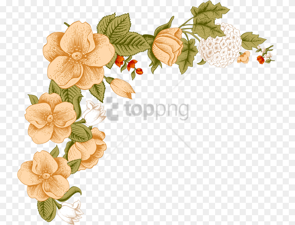 White Flower Frame Image With Floral Frame Background, Art, Floral Design, Graphics, Pattern Free Transparent Png