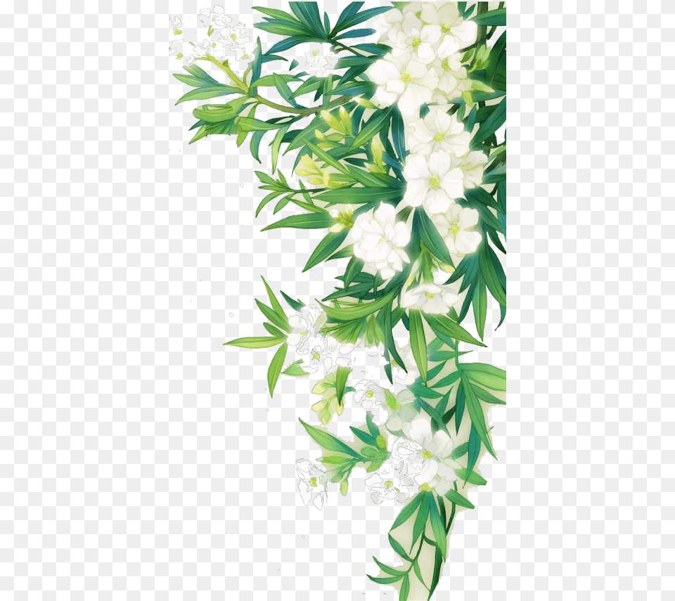 White Flower Nature Border Leaves Landscape Green Watercolour Flowers, Art, Floral Design, Pattern, Graphics Free Png