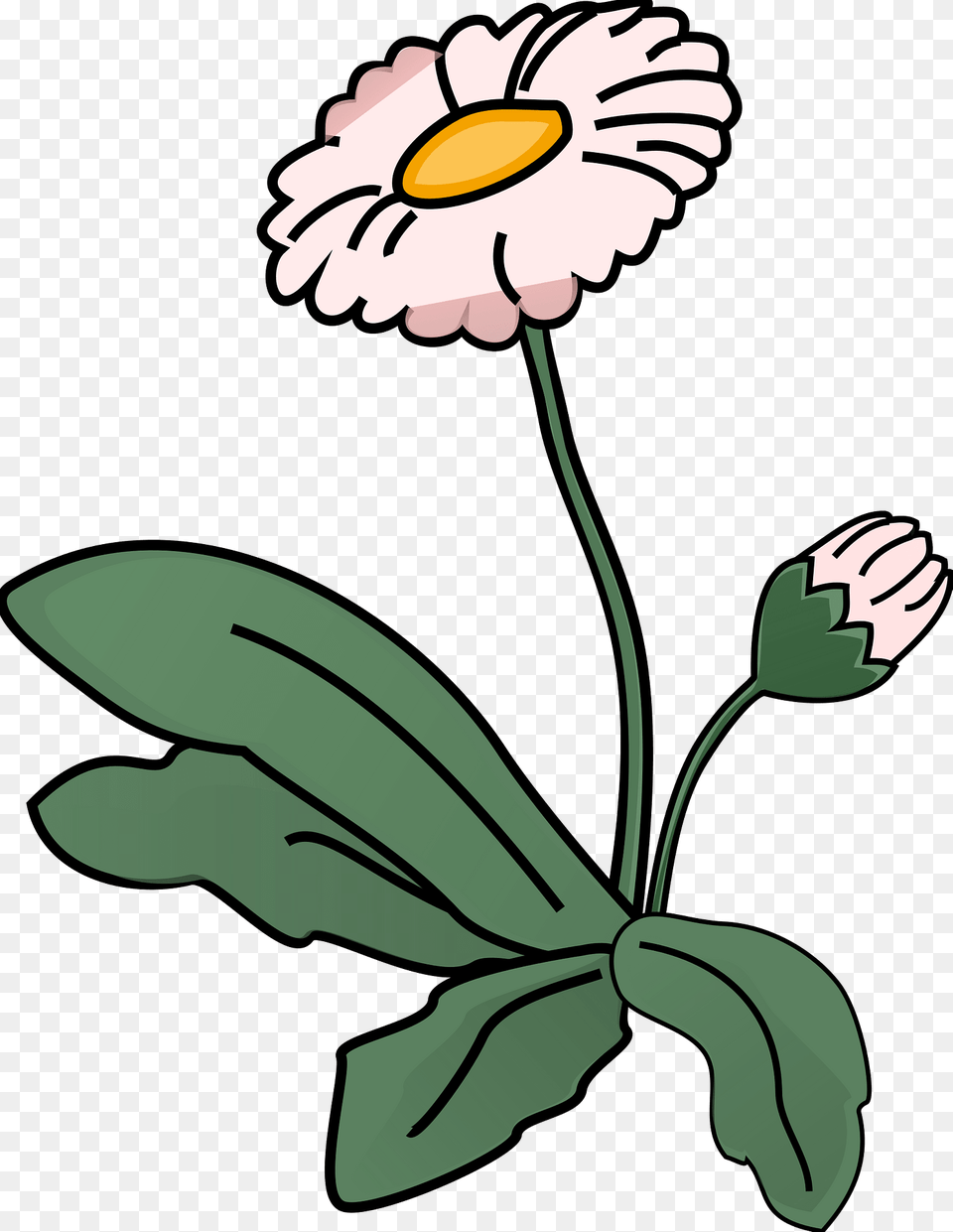 White Flower On The Stem Clipart, Daisy, Plant, Petal Free Png Download